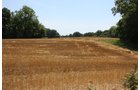 Property photo 18 - AUCTION POSTPONED
